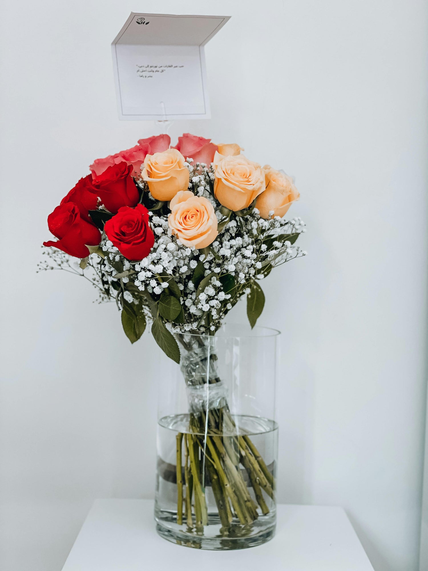 Premium Bloom 